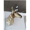 Image 1 : Impala Taxidermy