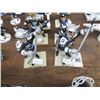 Image 2 : 10-Tampa Bay Lightning Bobbleheads - 10 X $