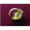 Image 3 : Lion Ring