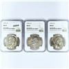 Image 1 : 1974 Set (3) Eisenhower Silver Dollars NGC MS65
