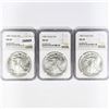 Image 1 : 1987 Set (3) American Silver Eagles NGC MS69