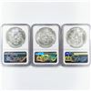 Image 2 : 1987 Set (3) American Silver Eagles NGC MS69