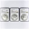 Image 1 : 1987 Set (3) American Silver Eagles NGC MS69