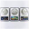 Image 2 : 1987 Set (3) American Silver Eagles NGC MS69