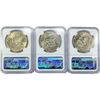 Image 2 : 1974 Set (3) Eisenhower Silver Dollars NGC MS65