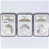 Image 1 : 2005 Set (3) American Silver Eagles NGC MS69