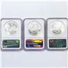 Image 2 : 2005 Set (3) American Silver Eagles NGC MS69