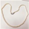 Image 1 : BZ1521-146 SILVER PEARL 16" NECKLACE