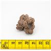 Image 1 : GENUINE COPROLITE SPECIMEN FROM