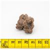 GENUINE COPROLITE SPECIMEN FROM