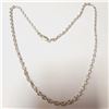 BZ1521-133 SILVER 8.78G 17" NECKLACE