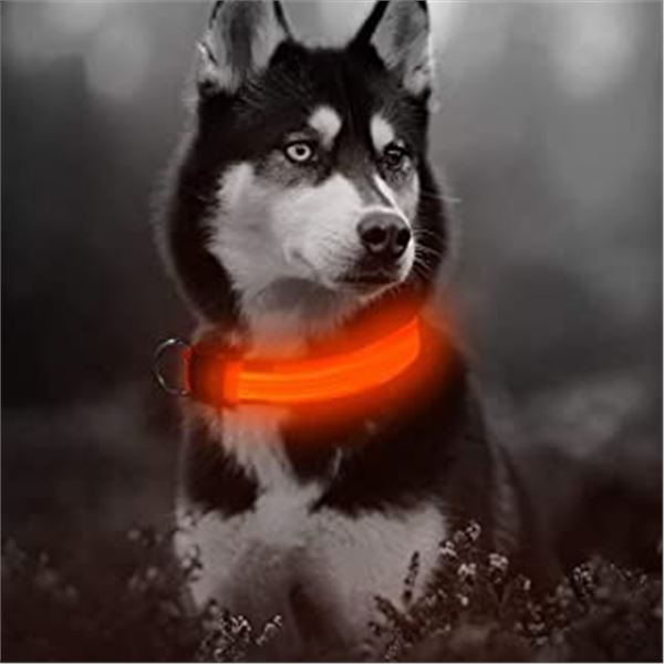 NEW MEDIUM RED LED & BLACK USB CHARGED PET COLLAR