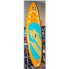 Image 1 : LBW PADDLE BOARD WITH CARRY-ALL BAG &  ACCESSORIES