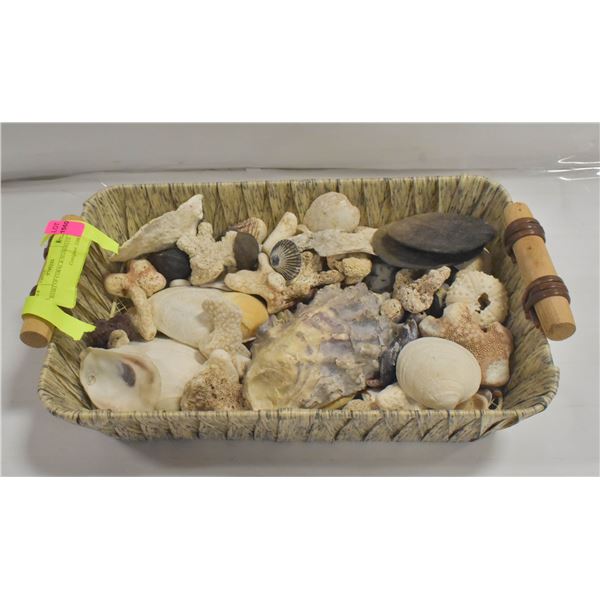 BASKET OF CORAL & SEASHELLS