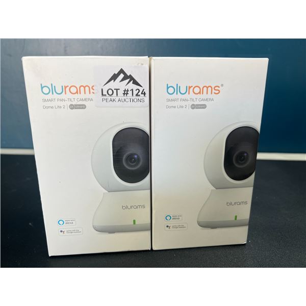 Lot of 2 BluRams Smart Pan-Tilt WiFi Indoor Security Cameras/Pet Cams/Baby Monitors