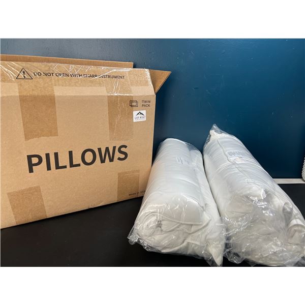 Lot of 2 Pillows