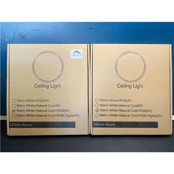 Lot of 2 LED Ceiling Lights