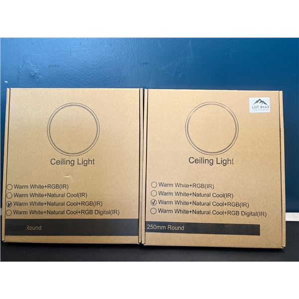 Lot of 2 LED Ceiling Lights