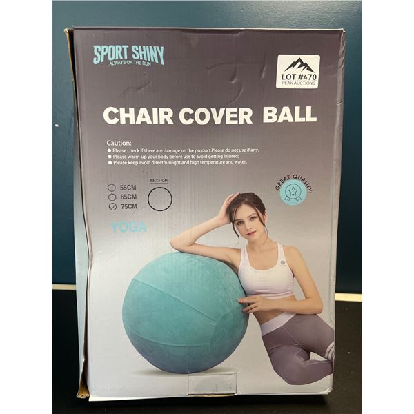 Lot of 1 Yoga Ball