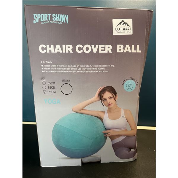Lot of 1 Yoga Ball