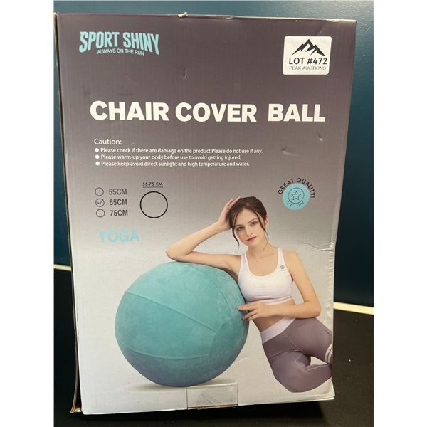 Lot of 1 Yoga Ball