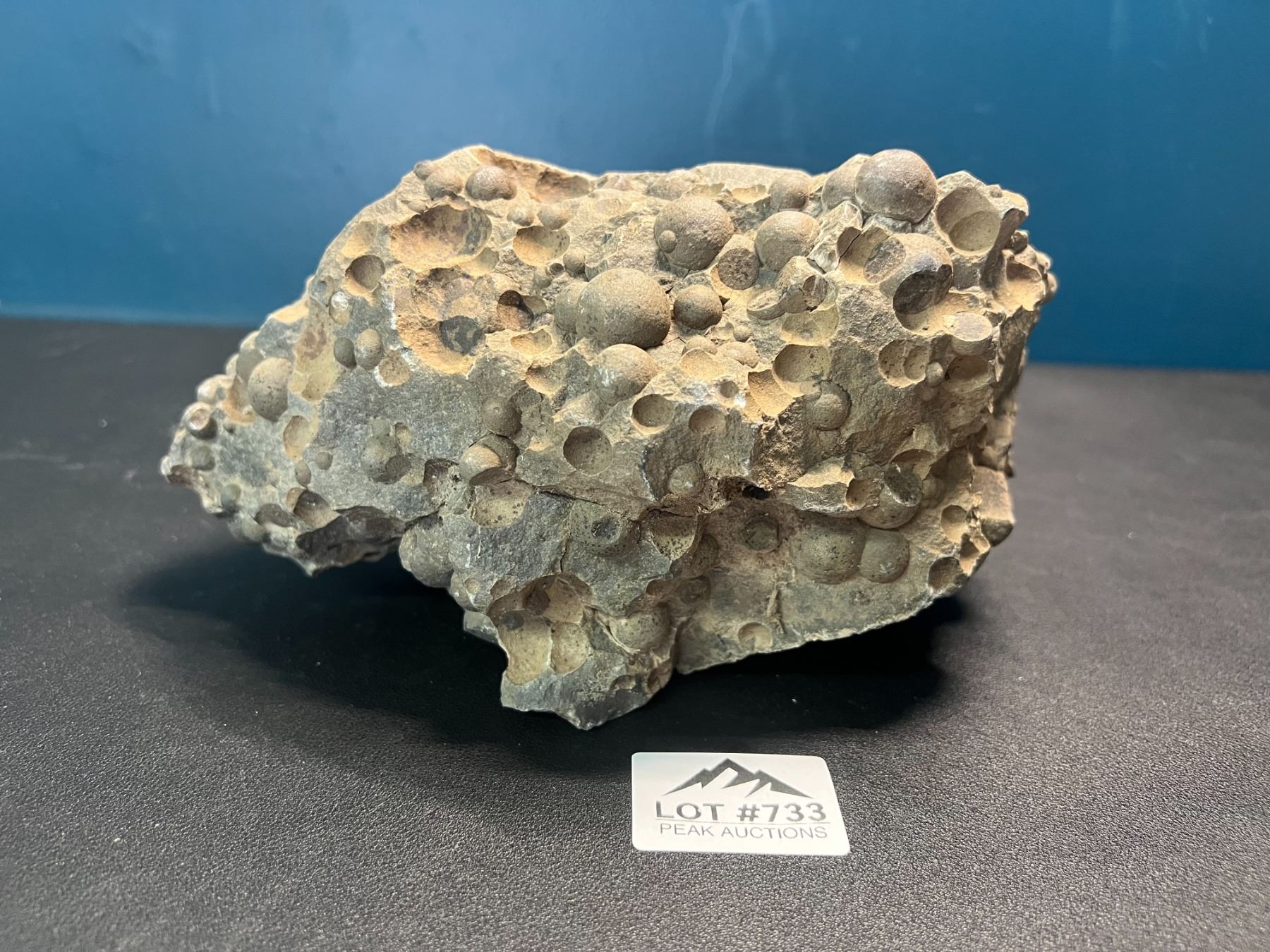 Lot of 1 Chunk of Highly Metamorphic Basalt Volcanic Rock