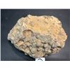 Image 2 : Lot of 1 Chunk of Highly Metamorphic Basalt Volcanic Rock