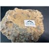 Image 3 : Lot of 1 Chunk of Highly Metamorphic Basalt Volcanic Rock