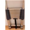 Image 2 : *Telescopic Ladder