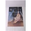 Image 2 : (2) Star Wars Posters - 11" x 16"