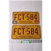 Image 1 : (2) Manitoba 1976 License Plates