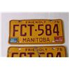 Image 3 : (2) Manitoba 1976 License Plates