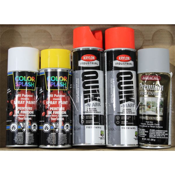 ASST SPRAY PAINT PRODUCTS