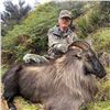 Image 2 : 5-day Alpine Tahr hunt in New Zealand