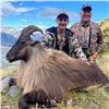 Image 3 : 5-day Alpine Tahr hunt in New Zealand