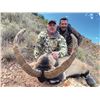 Image 5 : Beceite and South Eastern Ibex Hunt in Spain