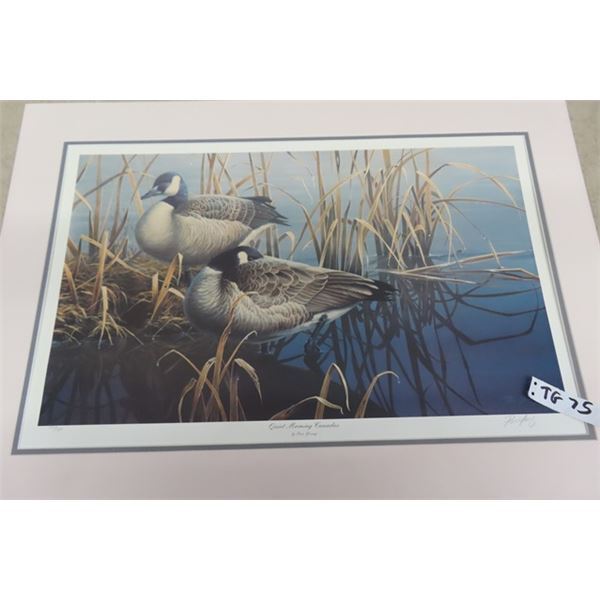 Goose Print by Paco Young Limited Edition Signed - 21" x 31"