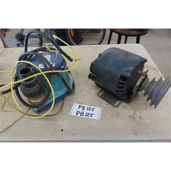 Submersible Pump, 1/4 HP Electric Motor