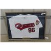Image 1 : 1996 FRamed Goldeyes Baseball Shirts