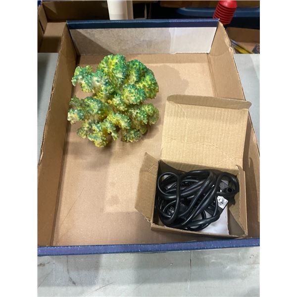 Aquarium pump and coral