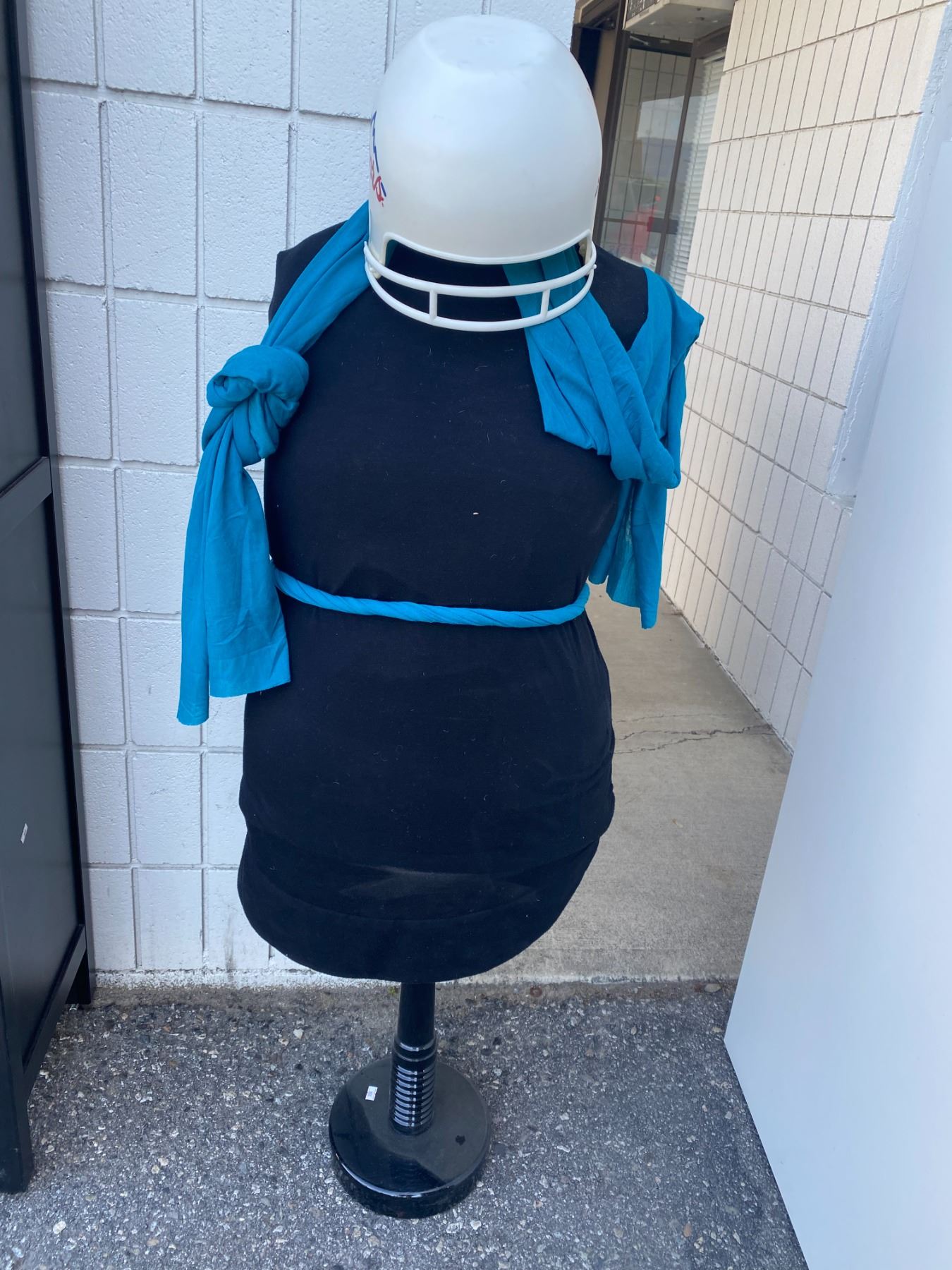 Display body
