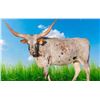 Image 1 : AF Buck Wild