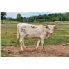 Image 1 : Donation Heifer