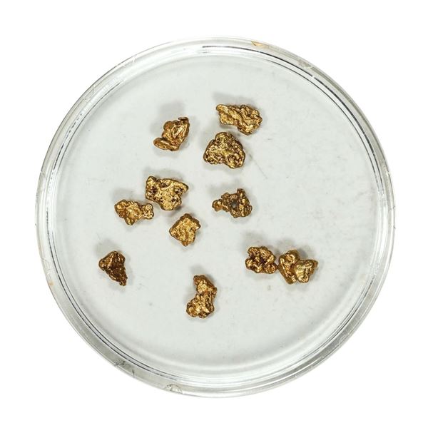 Gold Nuggets 1.66 Grams Total Weight