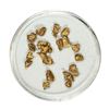 Image 1 : Gold Nuggets 3.43 Grams Total Weight