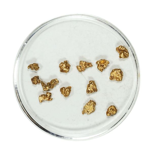 Gold Nuggets 1.92 Grams Total Weight