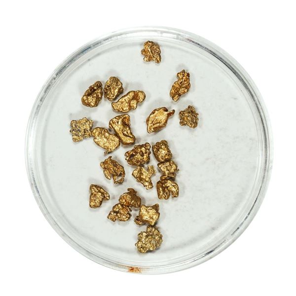 Gold Nuggets 3.06 Grams Total Weight