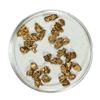 Image 1 : Gold Nuggets 4.93 Grams Total Weight
