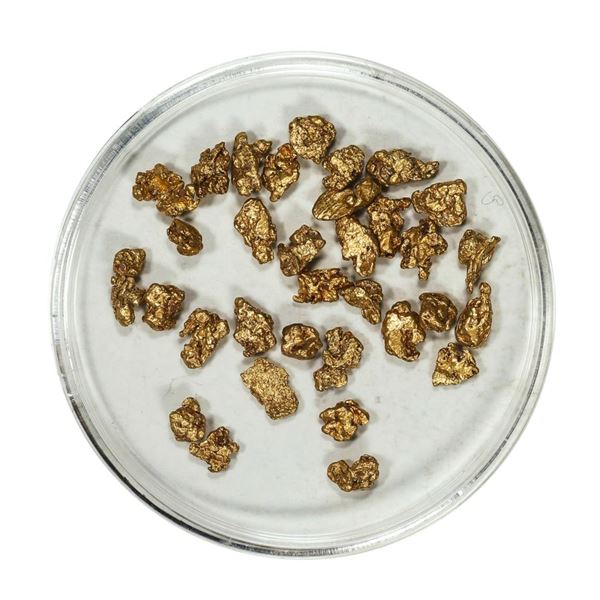 Gold Nuggets 4.79 Grams Total Weight