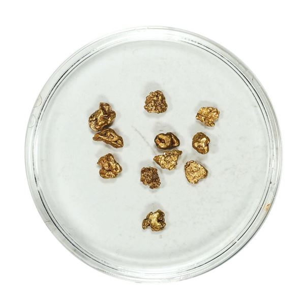 Gold Nuggets 1.58 Grams Total Weight